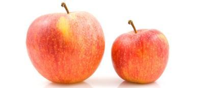 ABS , Châu Âu , HIPS , Tây Bắc Âu , Giá , GPPS , EPS , PS , Ý