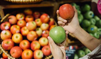 Notizie Premium , PP Copo , Prezzo , Turchia , PP Omo , PP