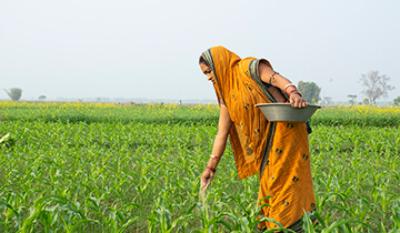 Ấn Độ , HDPE , LLDPE , LDPE , Premium Tin tức , Giá , PE , PP Homo , PP